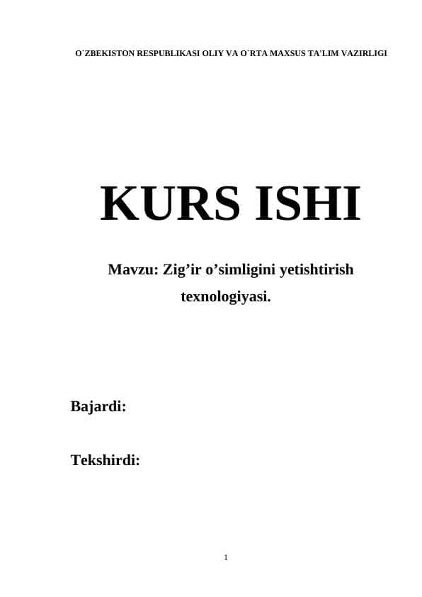 Zig’ir o’simligini yetishtirish texnologiyasi