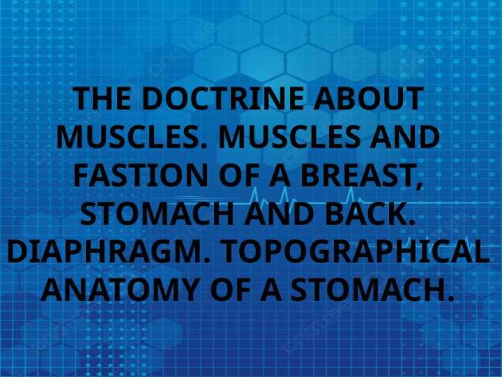 The doctrine about muscles. Muscles and fastion of a breast, stomach and back. Diaphragm. Topographical anatomy of a stomach.
