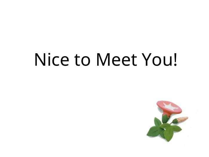 Nice to Meet You!