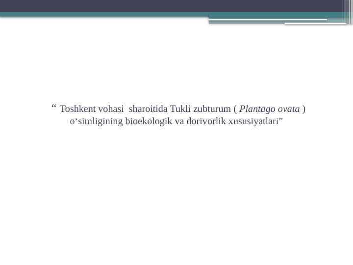 “ Toshkent vohasi sharoitida Tukli zubturum ( Plantago ovata ) o‘simligining bioekologik va dorivorlik xususiyatlari”