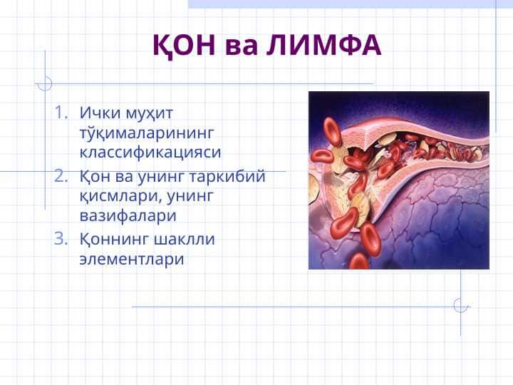 ҚОН ва ЛИМФА