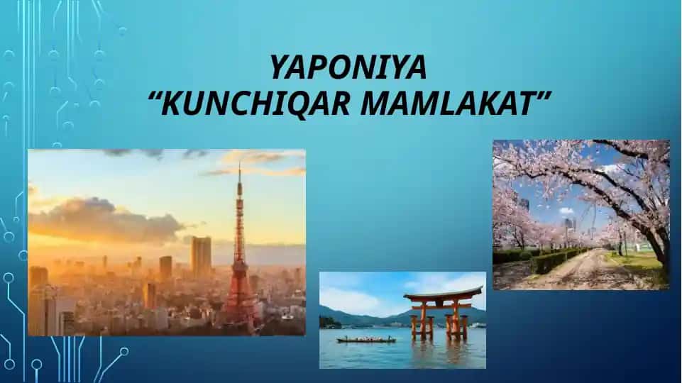 Yaponiya mamlakati