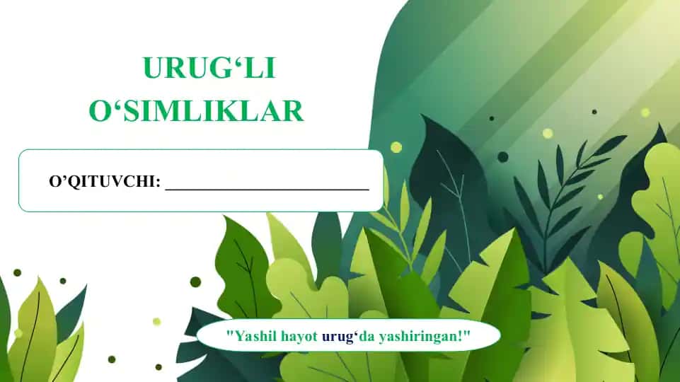 1.5. Urug'li o'simliklar mavzusida ochiq dars taqdimoti.