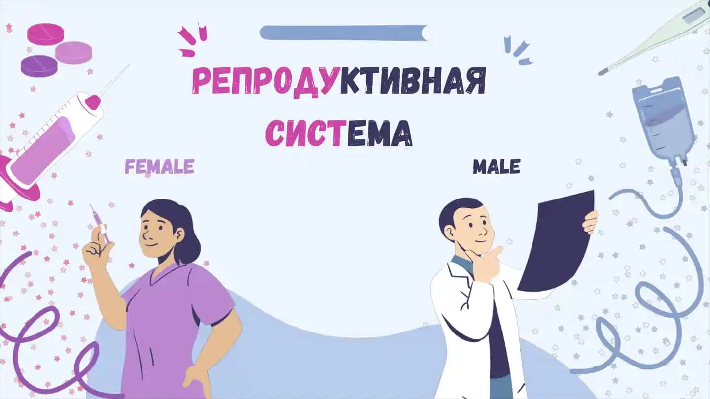 Репродуктивная система