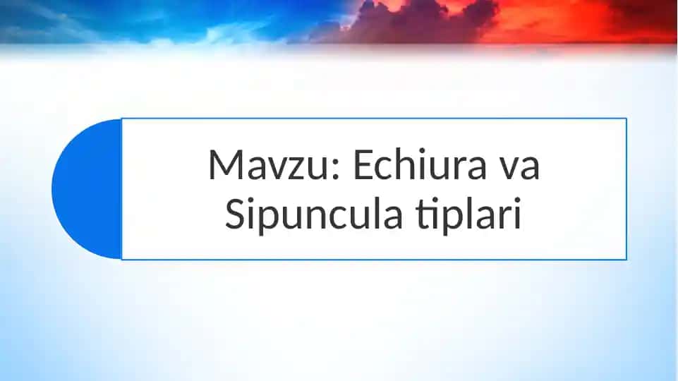 Halqali chuvalchanglar (Annelida) Echiura va Sipuncula tiplari