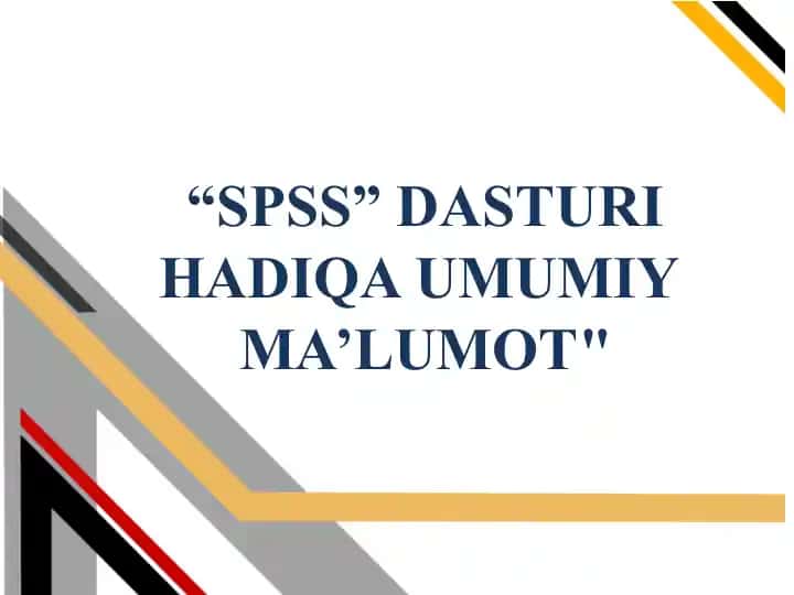 SPSS dasturi