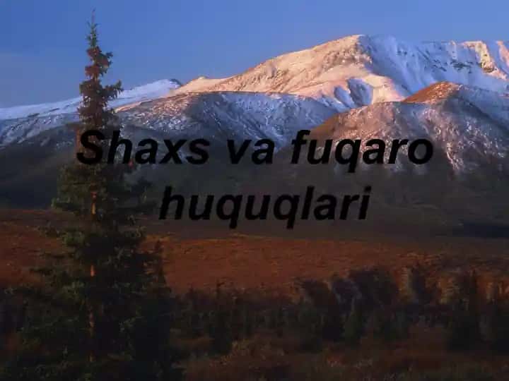 Shaxs va fuqaro huquqlari