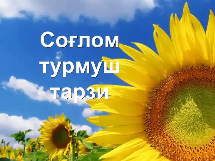 Sog'lom turmush tarzi, sog'lom ovqatlanish, sog'lom kun tartibi