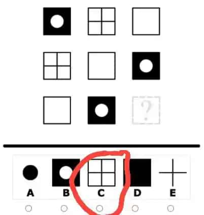 ARGOST iQ test 2025