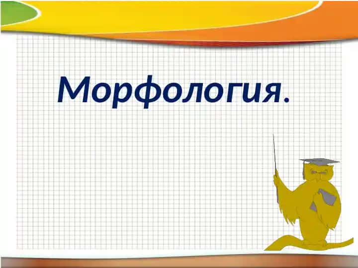 Морфология.