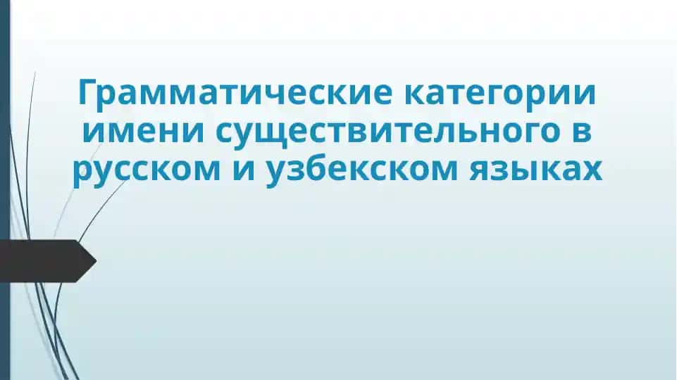 Грамматические категории имени существительного в русском и узбекском языках