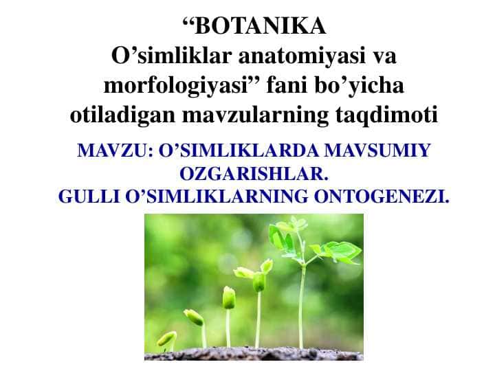 O’simliklar a O’SIMLIKLARDA MAVSUMIY OZGARISHLAR. GULLI O’SIMLIKLARNING ONTOGENEZI