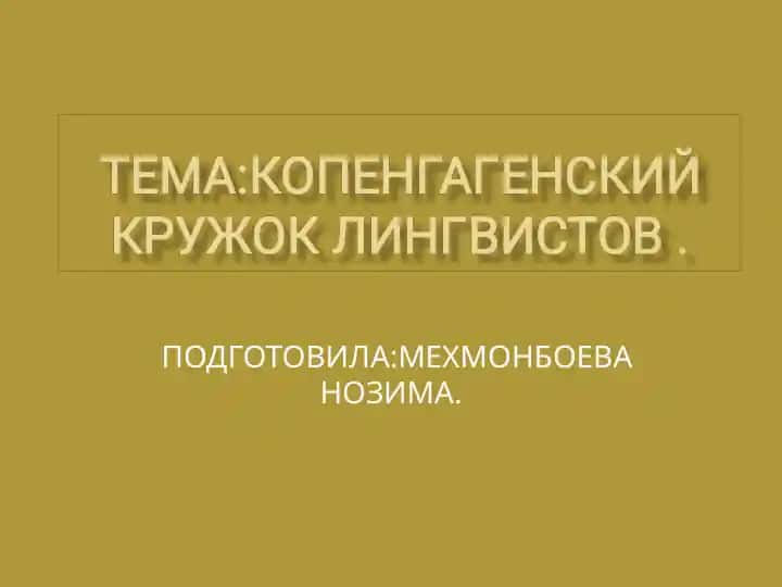 Копенгагенский кружок лингвистов