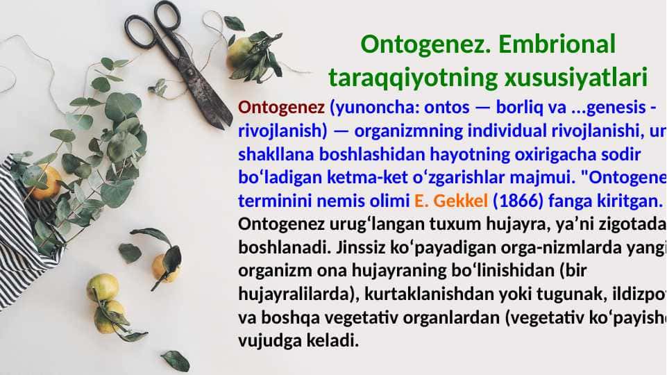 Ontogenez. Embrional taraqqiyotning xususiyatlari