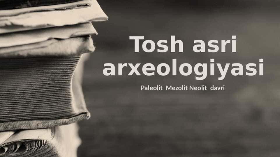 Tosh asri arxeologiyasi