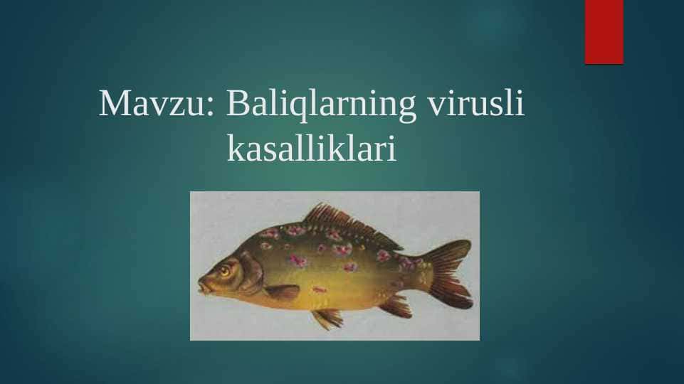 Baliqlarning virusli kasalliklari