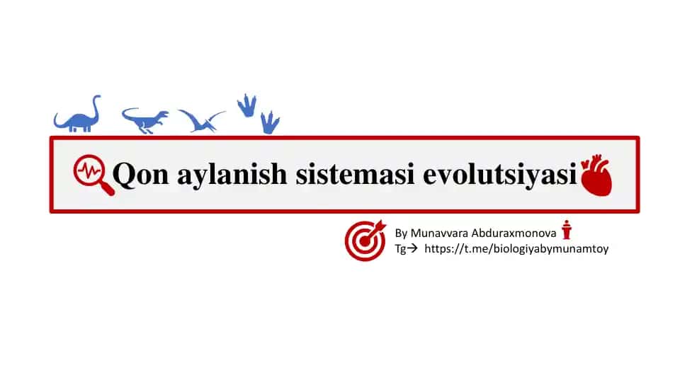Qon aylanish sistemasi evolutsiyasi