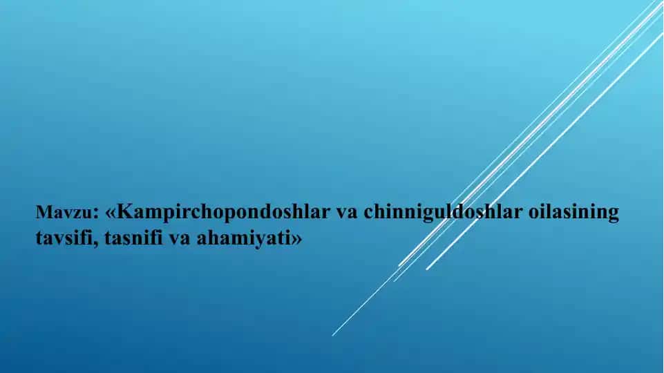 Kampirchopondoshlar va chinniguldoshlar oilasi
