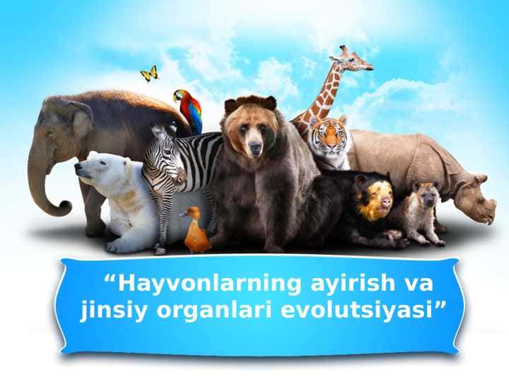 Hayvonlarning ayirish va jinsiy organlari evolutsiyasi
