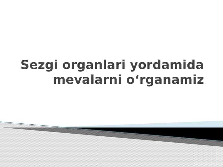 Sezgi organlari yordamida mevalarni oʻrganamiz