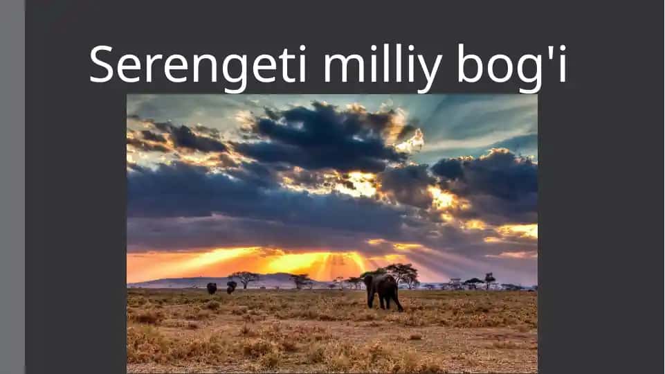 Serengeti milliy bog'i