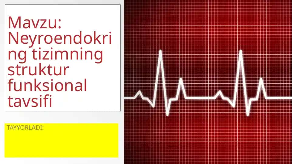 Neyroendokrin tizimning struktur funksional tavsifi