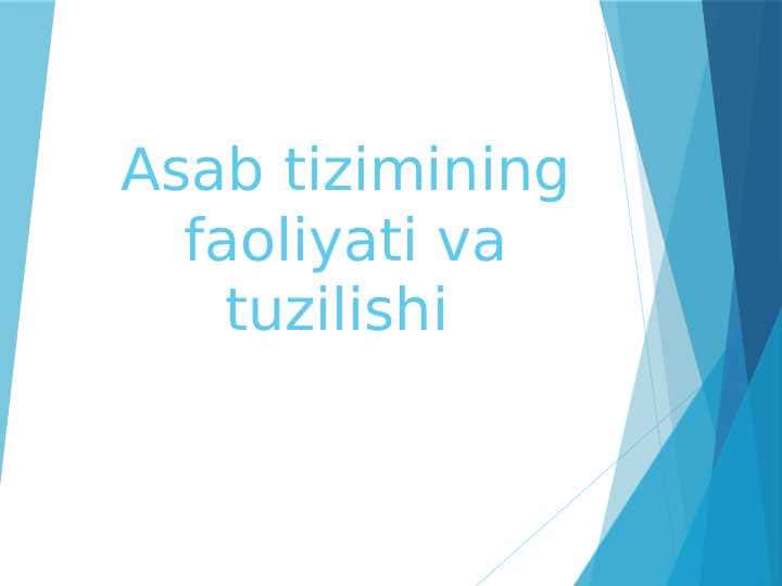 Asab tizimining faoliyati va tuzilishi
