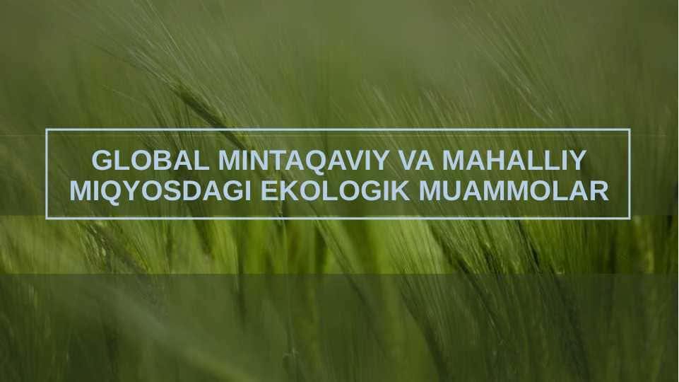 Global mintaqaviy va mahaliy miqyosidagi ekologik muomalar
