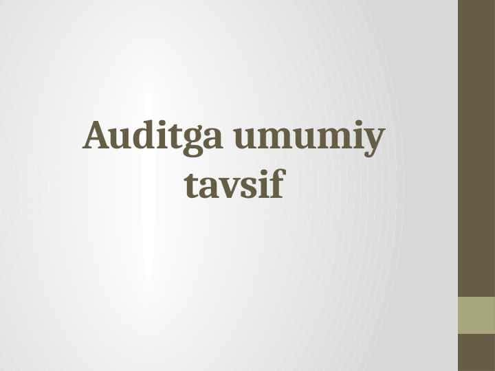 Auditga umumiy tavsif