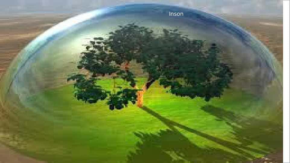 Inson va biosfera
