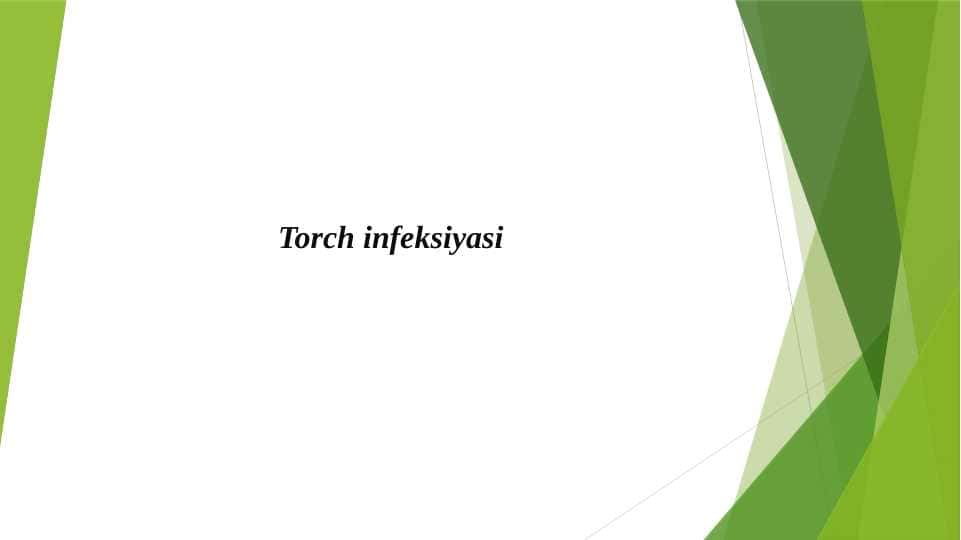 Torch infeksiyasi