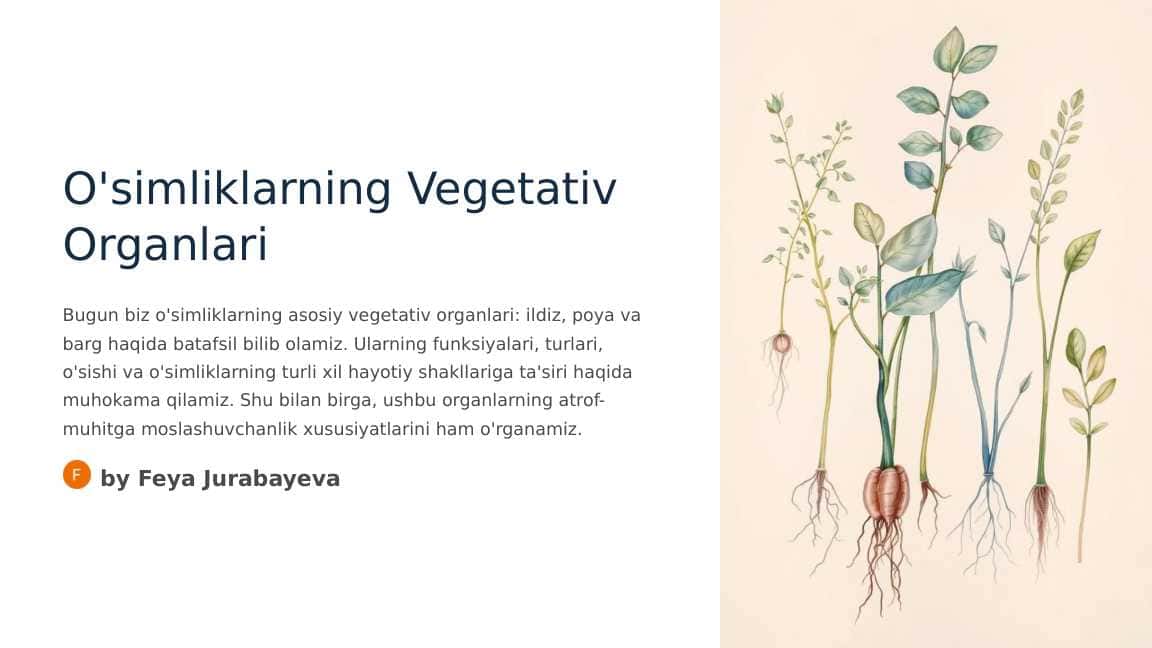 O'simliklarning vegetativ organlari