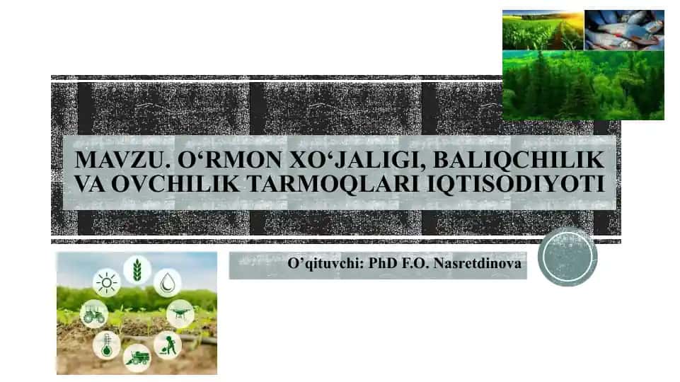 O'rmon xo'jaligi, baliqchilik va ovchilik tarmoqlari