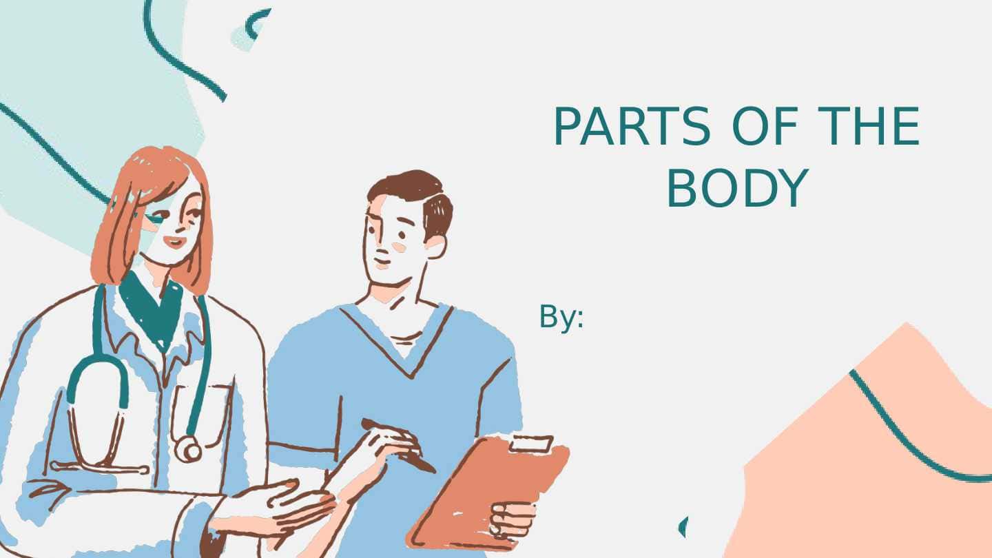 PARTS OF THE BODY
