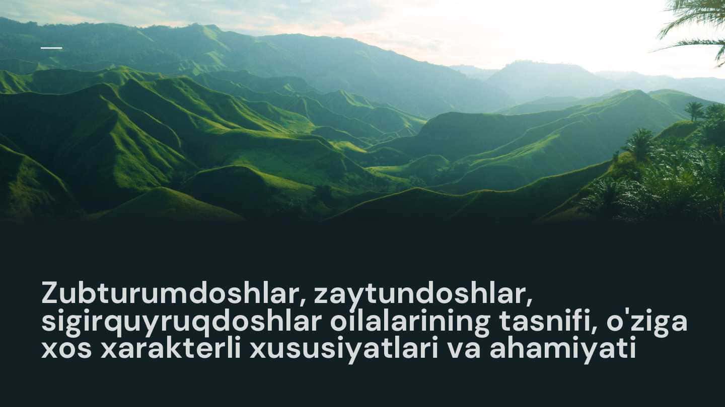 Zubturumdoshlar, zaytundoshlar, sigirquyruqdoshlar oilalarining tasnifi, o'ziga xos xarakterli xususiyatlari va ahamiyati
