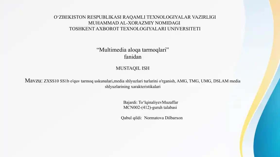 ZXSS10 SS1b O'quv Tarmoq Uskunalari va Media Shlyuzlari Turlari