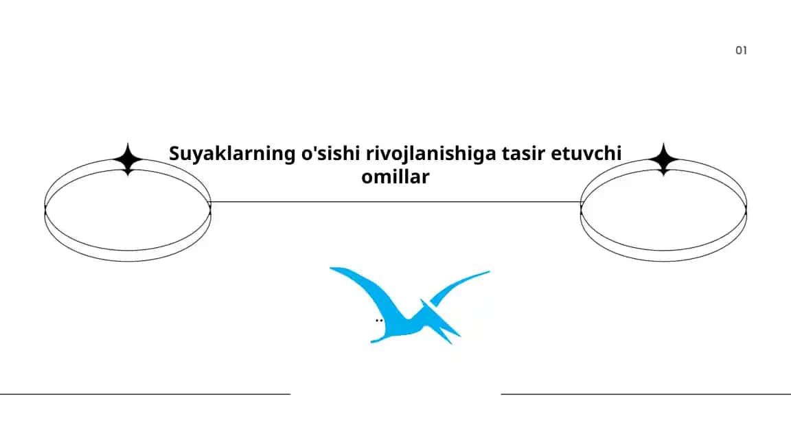 suyaklar xaqida umumuy malumot, o`sishi ,rivojlanishi
