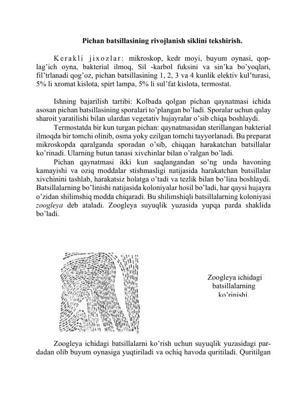 Pichan batsillasining rivоjlanish siklini tekshirish