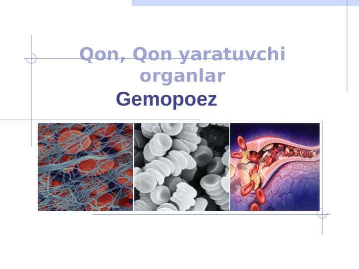 Qon, Qon yaratuvchi organlar . Gemopoez
