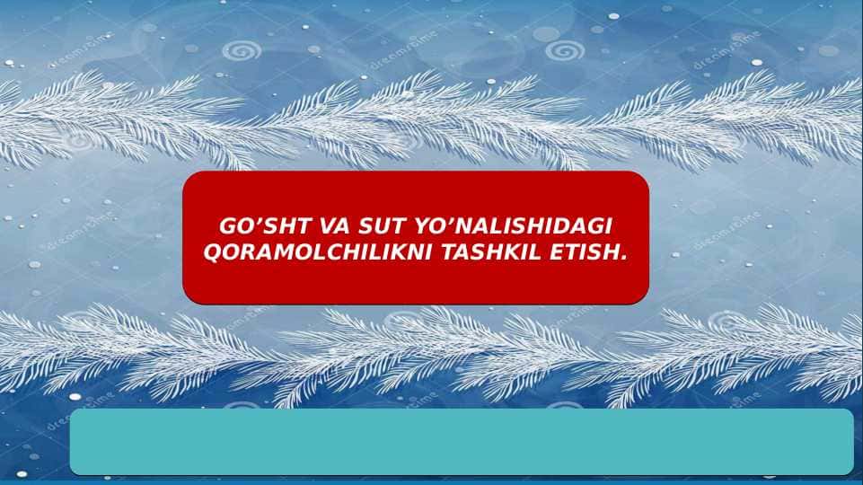 GO’SHT VA SUT YO’NALISHIDAGI QORAMOLCHILIKNI TASHKIL ETISH