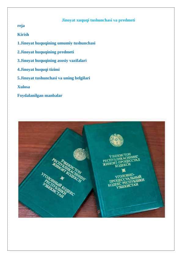 Jinoyat xuquqi tushunchasi va predmeti 24