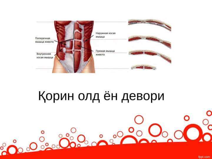 Қорин олд ён девори