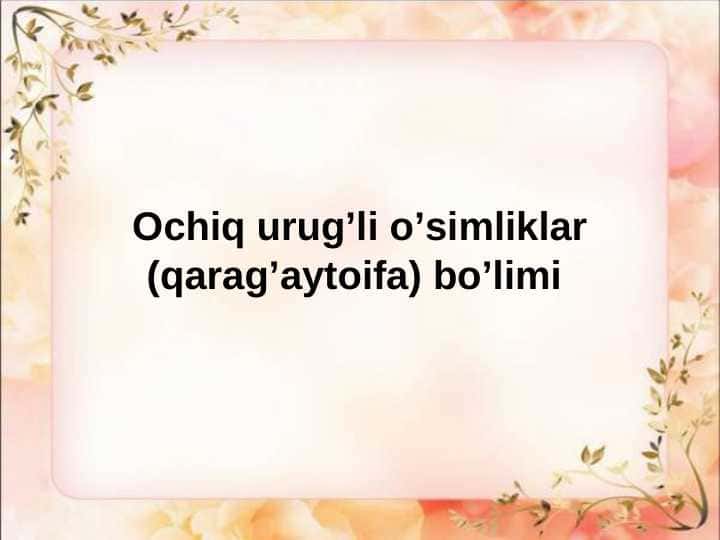 Ochiq urug’li o’simliklar (qarag’aytoifa) bo’limi