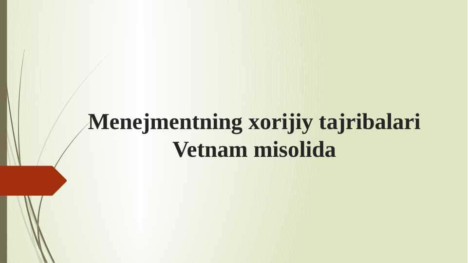 Menejmentning xorijiy tajribalari Vetnam misolida