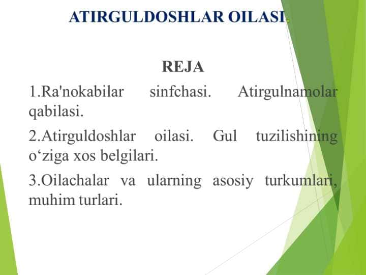 ATIRGULDOSHLAR OILASI.