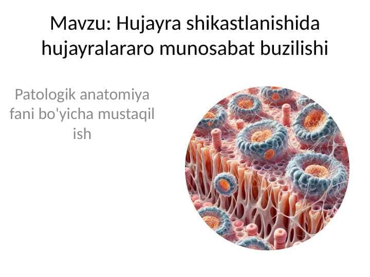 Hujayra shikastlanishida hujayralararo munosabat buzilishi