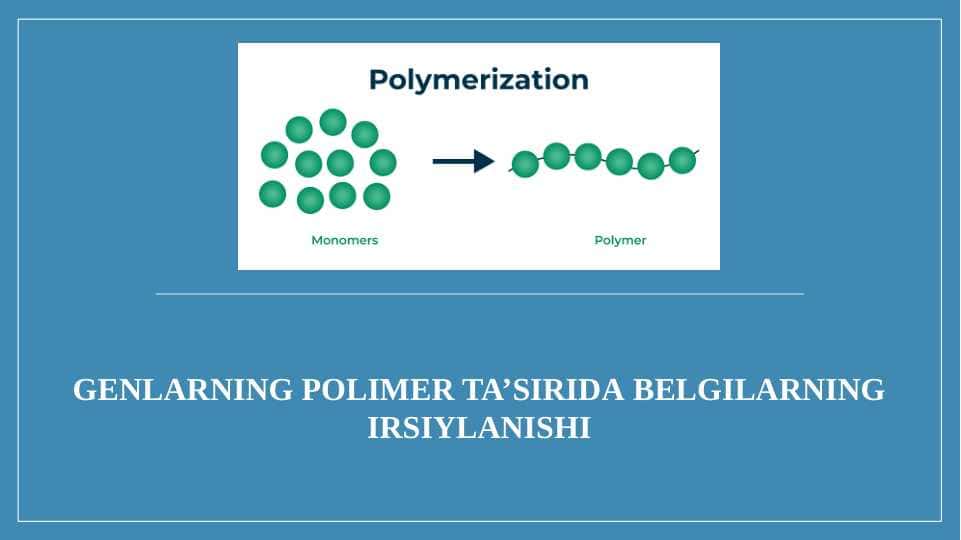 Genlarning polimer ta’sirida belgilarning irsiylanishi