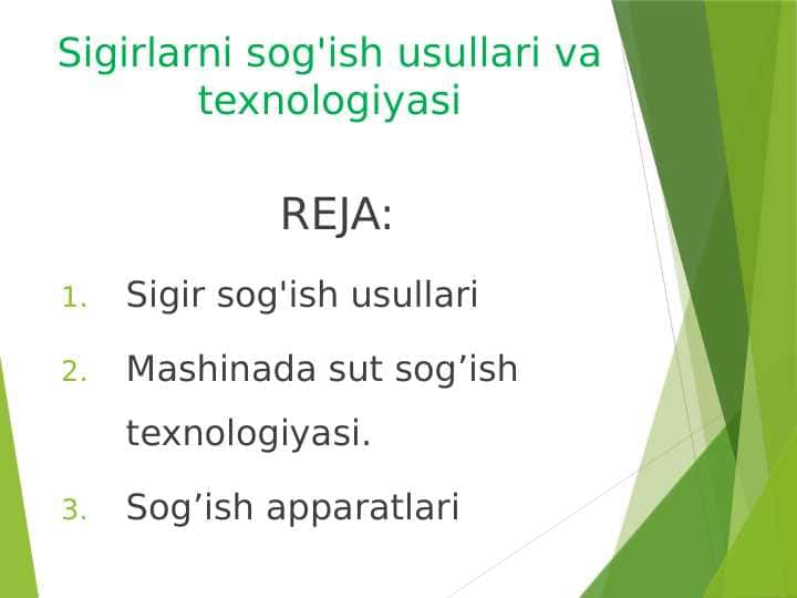 Sigirlarni sog'ish usullari va texnologiyasi