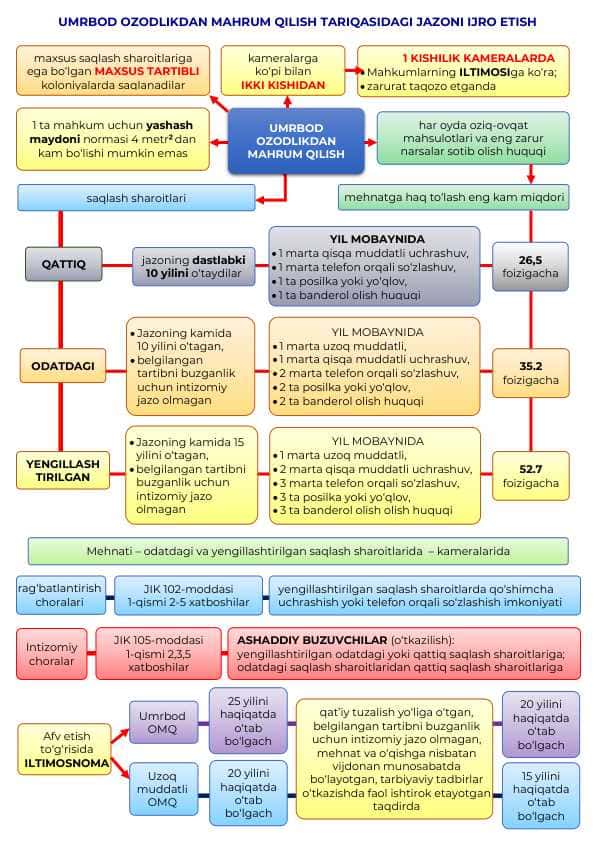 Umrbod ozodlikdan mahrum qilish jazosi ijrosi (infografika)