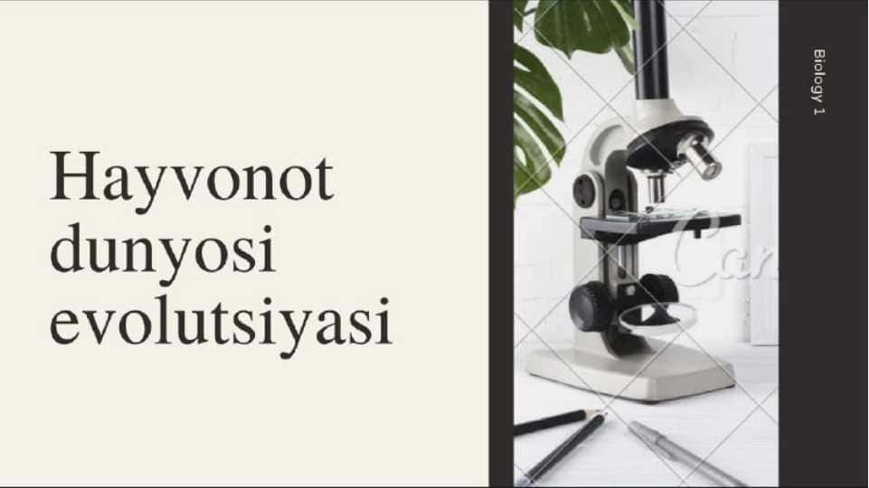 Hayvonot dunyosi evolyutsiyasi